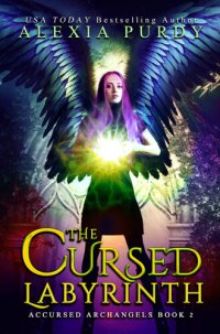 cover of the book The Cursed Labyrinth (Accursed Archangels #2)