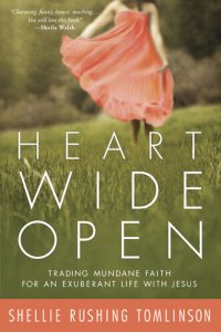 cover of the book Heart Wide Open: Trading Mundane Faith for an Exuberant Life with Jesus