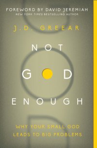 cover of the book Not God Enough: Why Your Small God Leads to Big Problems