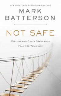 cover of the book Not Safe: Discovering God's Dangerous Plan for Your Life