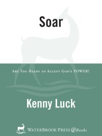 cover of the book Soar: Are You Ready to Accept God's Power?