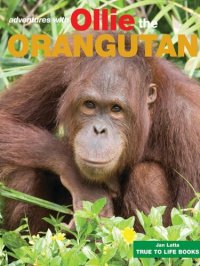 cover of the book Ollie the Orangutan