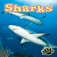 cover of the book Sharks