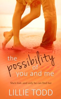 cover of the book The Possibility of You and Me