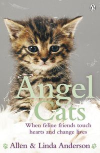 cover of the book Angel Cats: When feline friends touch hearts and change lives