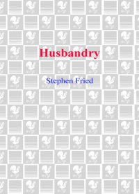 cover of the book Husbandry: Love and Dirty Laundry--Inside the Minds of Married Men