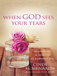 cover of the book When God Sees Your Tears: He Knows You, He Hears You, He Sees You