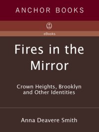 cover of the book Fires in the Mirror