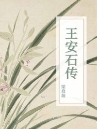 cover of the book 王安石传