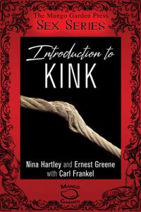 cover of the book Introduction to Kink