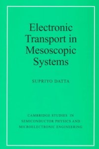 cover of the book Electronic Transport in Mesoscopic Systems 