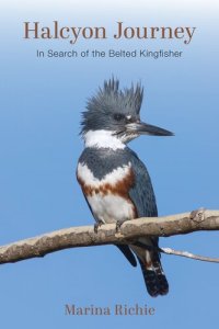 cover of the book Halcyon Journey: In Search of the Belted Kingfisher