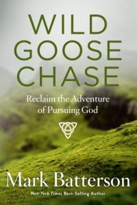 cover of the book Wild Goose Chase: Reclaim the Adventure of Pursuing God