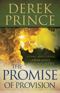 cover of the book The Promise of Provision: Living and Giving from God's Abundant Supply