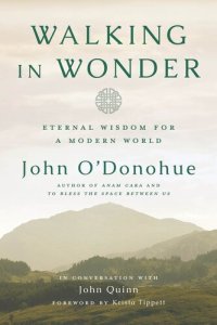 cover of the book Walking in Wonder: Eternal Wisdom for a Modern World