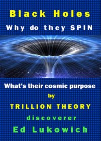 cover of the book Black Holes: Why Do They Spin