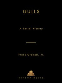 cover of the book Gulls: A Social History