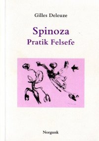 cover of the book Spinoza: Pratik Felsefe