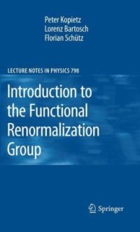 cover of the book Introduction to the Functional Renormalization Group