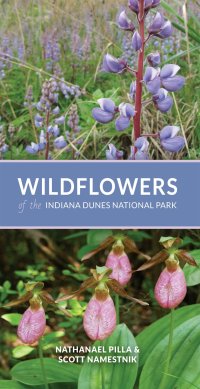 cover of the book Wildflowers of the Indiana Dunes National Park