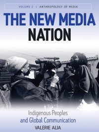 cover of the book The New Media Nation