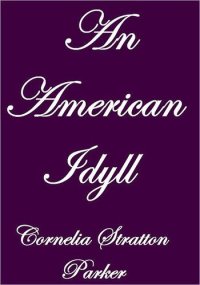 cover of the book An American Idyll