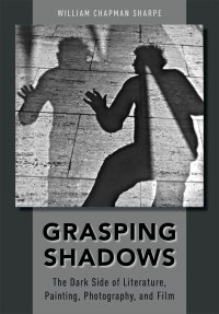 cover of the book Grasping Shadows: The Dark Side of Literature, Painting, Photography, and Film