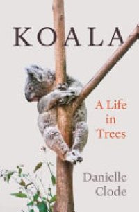 cover of the book Koala: A Life in Trees