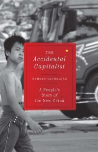 cover of the book The Accidental Capitalist