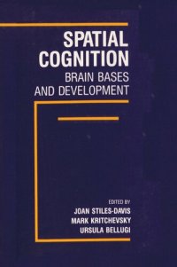 cover of the book Spatial Cognition: Brain Bases and Development