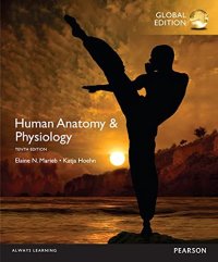 cover of the book Human Anatomy & Physiology, Global Edition