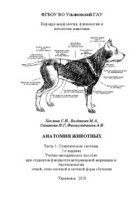 cover of the book Анатомия животных. Часть 1. Соматические системы: Учебно-методическое пособие