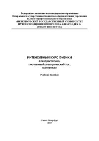 cover of the book Интенсивный курс физики: электростатика, постоянный электрический ток, магнетизм