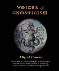 cover of the book Voices of Gnosticism: Interviews with Elaine Pagels, Marvin Meyer, Bart Ehrman, Bruce Chilton and Other Leading Scholars