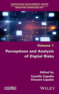 cover of the book Perceptions and Analysis of Digital Risks