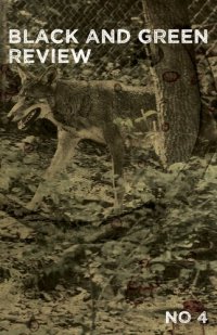 cover of the book Black and Green Review 4