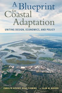 cover of the book A Blueprint for Coastal Adaptation: Uniting Design, Economics, and Policy