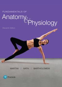 cover of the book Fundamentals of Anatomy & Physiology