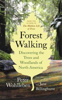 cover of the book Forest Walking: Discovering the Trees and Woodlands of North America