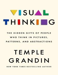 cover of the book Visual Thinking: The Hidden Gifts of People Who Think in Pictures, Patterns, and Abstractions