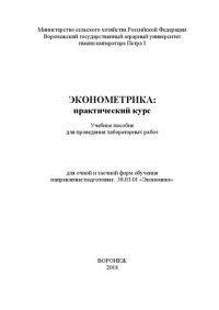 cover of the book Эконометрика: практический курс: Учебное пособие для проведения лабораторных работ для очной и заочной форм обучения направление подготовки: 38.03.01 «Экономика»