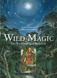 cover of the book Wild Magic: The Wildwood Tarot Workbook