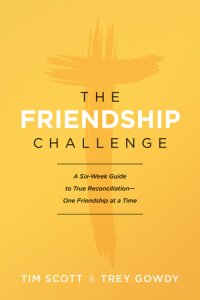 cover of the book The Friendship Challenge: A Six-Week Guide to True Reconciliation-One Friendship at a Time