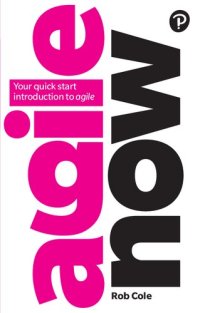 cover of the book Agile Now: Your Quick Start Introduction to Agile