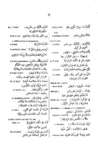 cover of the book Arabic-English Dictionary