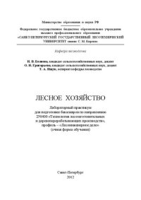 cover of the book Лесное хозяйство: лабораторный практикум для подготовки бакалавров по направлению 250400 «Технология лесозаготовительных и деревоперерабатывающих производств», профиль – «Лесоинженерное дело» (очная форма обучения)