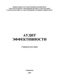 cover of the book Аудит эффективности: учеб. пособие