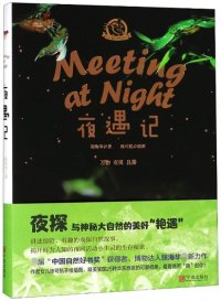 cover of the book 夜遇记