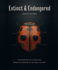 cover of the book Extinct & Endangered: Insects in Peril