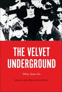 cover of the book The Velvet Underground: What Goes On